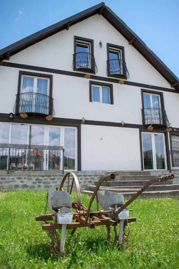 Casa Nevada Hotel Curtea De Arges Exterior photo
